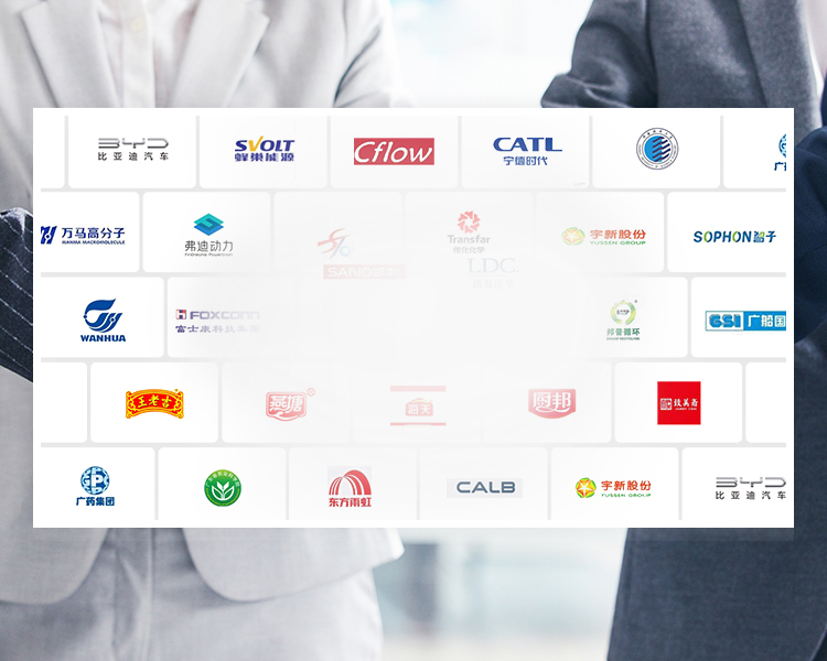 行業(yè)領(lǐng)先地位